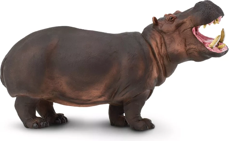 Safari Ltd. hroch – realistická figurka - 1 kus