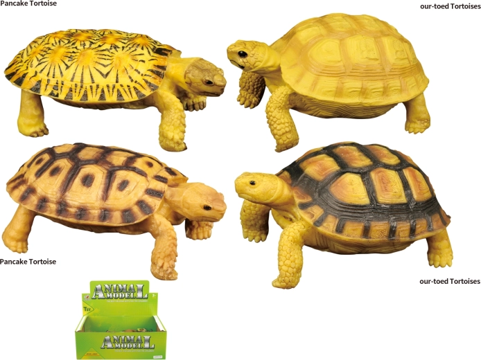 Zvířecí svět – želva hračka, 4 druhy