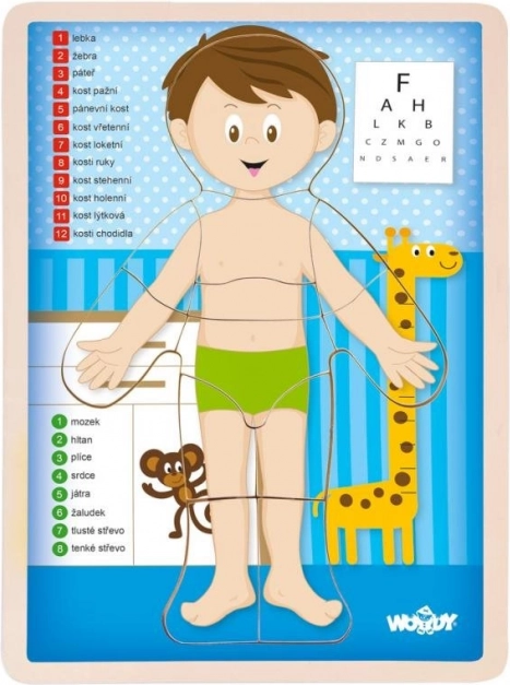 Woody oboustranné puzzle Lidské tělo - chlapec