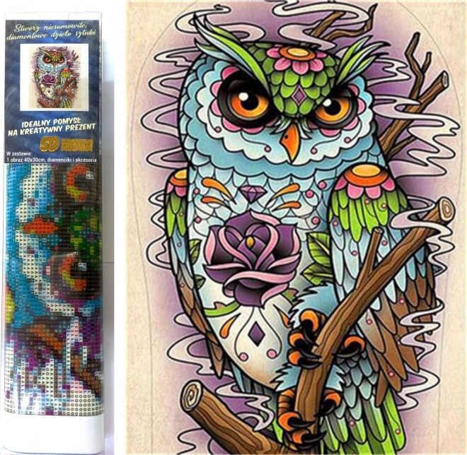 Diamantové malování moudrá sova 30x40 cm