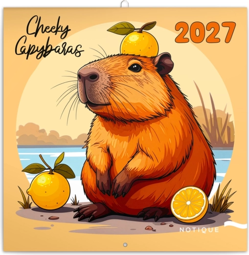 Notique poznámkový nástěnný kalendář Rozverné kapybary 2027 30 × 30 cm