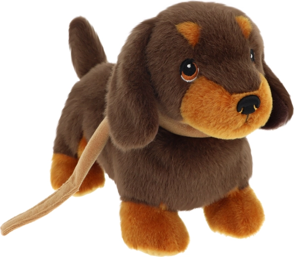 Keeleco štěně jezevčíka na vodítku 23 cm