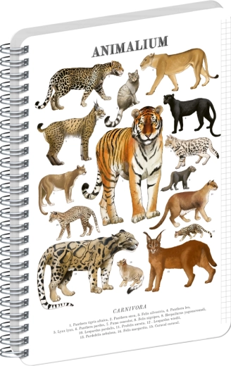 Notique spirálový blok Animalium – kočkovité šelmy A4, čtverečkovaný