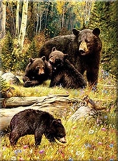 Diamantové malování – Medvědi na mýtině 30 × 40 cm