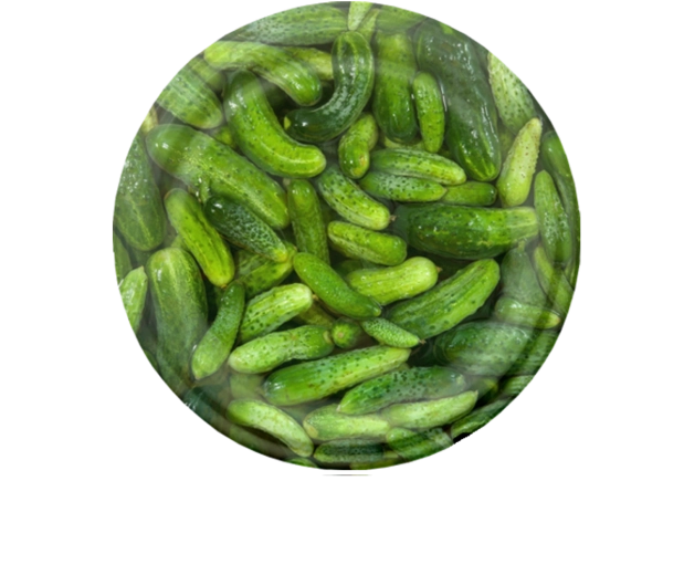 Sada víček na zavařování 82 mm s motivem okurek, 6 zoubků, 10 ks