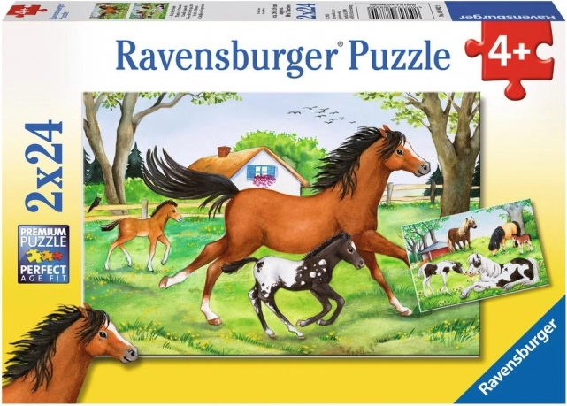RAVENSBURGER puzzle svět koní 2×24 dílků