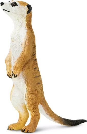 Safari Ltd. figurka surikata