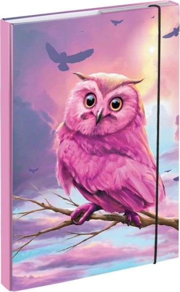 Desky na školní sešity A4 s motivem sovy BAAGL