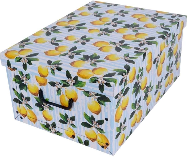 Kartonová úložná krabice Maxi – citrony