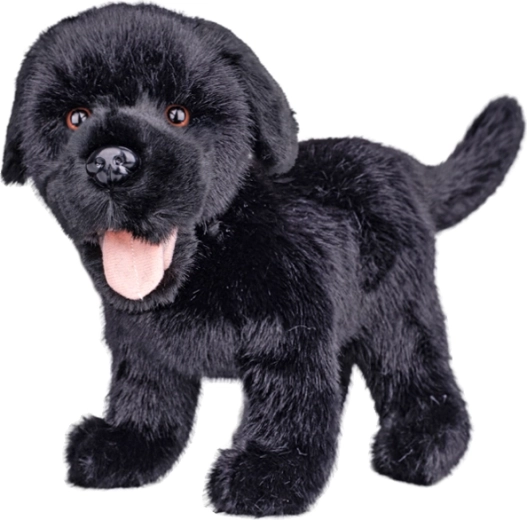 Plyšový labrador černý 23 cm - 1 kus
