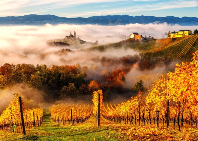 Enjoy puzzle Na vinici 1000 dílků