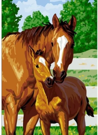 Diamantová mozaika (diamond painting) roztomilé hříbě 30 × 40 cm
