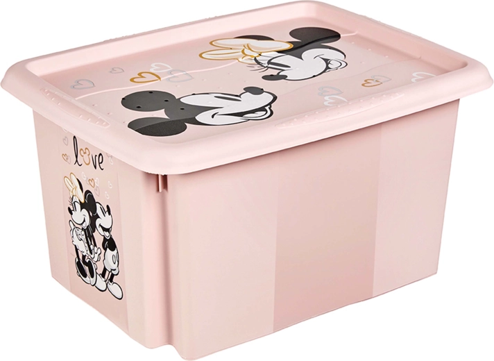 Úložný box s víkem Minnie 15 l