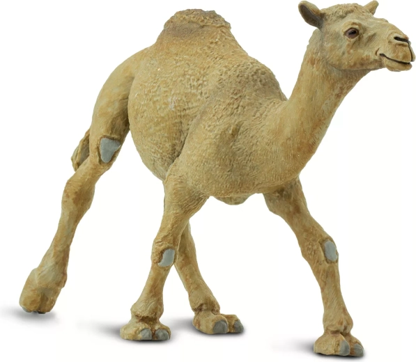 Safari Ltd. velbloud jednohrbý figurka - 1 kus