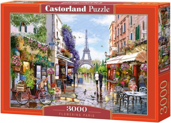 Puzzle 3000 dílků - Kvetoucí Paříž