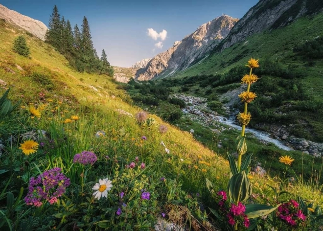 Puzzle Magické úbočí 1000 dílků