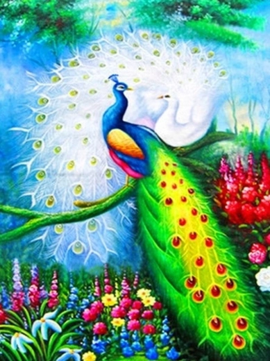 Diamantové malování – pávi 30 × 40 cm