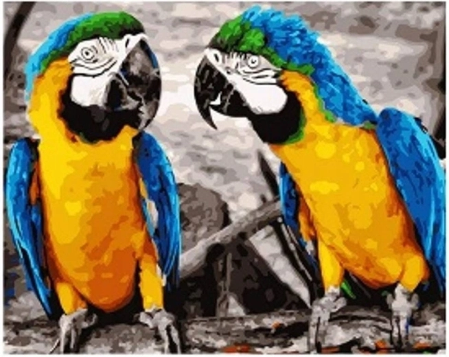 Diamantové malování Papoušci 30 × 40 cm