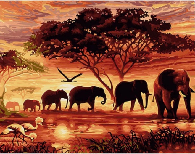 Norimpex malování podle čísel Stádo slonů při západu slunce 40 × 50 cm