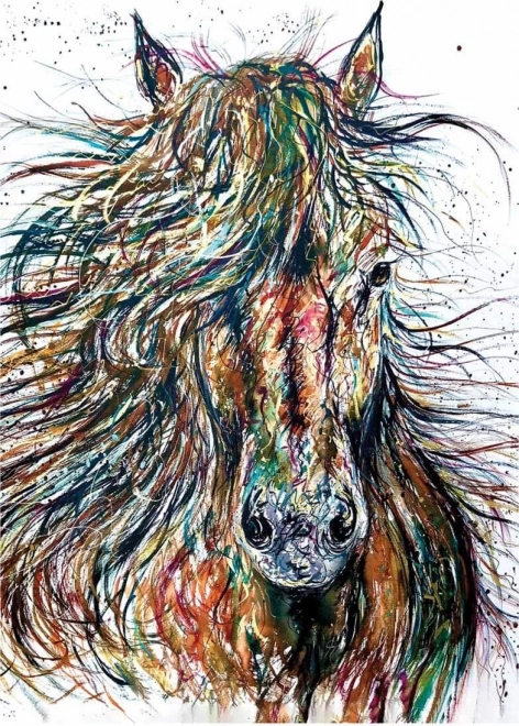 Puzzle ANATOLIAN vítr 500 dílků