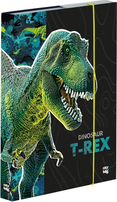 Box na sešity A5 Dinosaurus Premium
