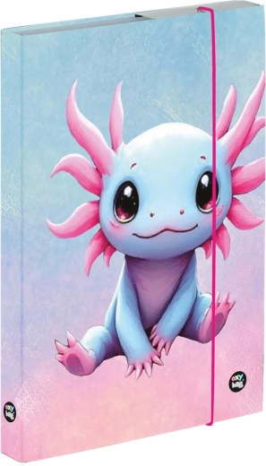 Oxybag box na sešity A4 Axolotl