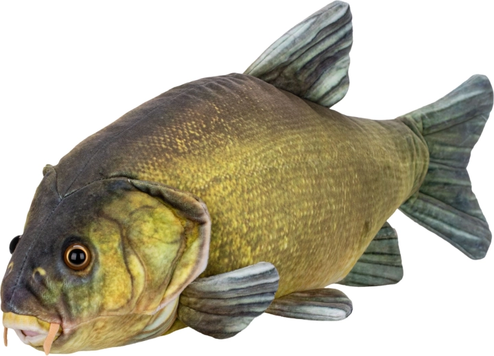 Plyšový lín 50 cm