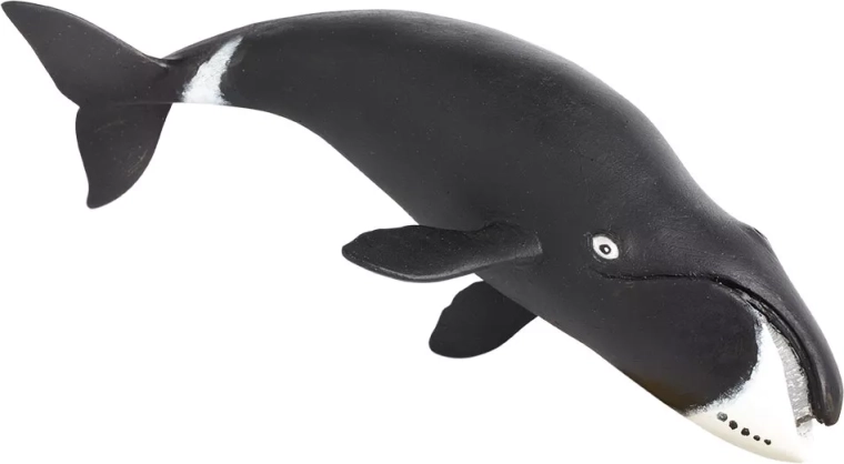 Safari Ltd. figurka velryby grónské