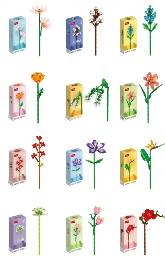 Florist pestrobarevné letní a polní květy (12 druhů)