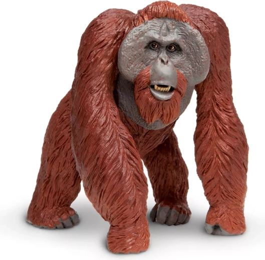Figurka orangutana bornejského Safari Ltd.