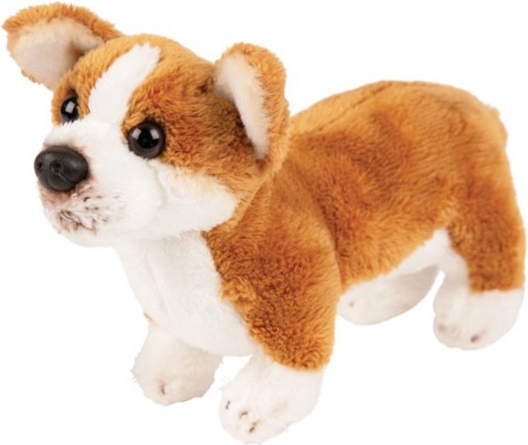Plyšový pes Corgi