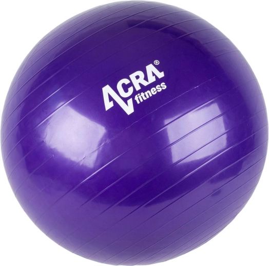 Gymnastický míč ACRA fialový 65 cm