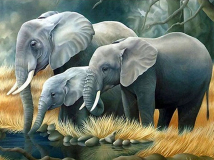 Norimpex malování podle čísel Sloní rodina u řeky 40 × 50 cm