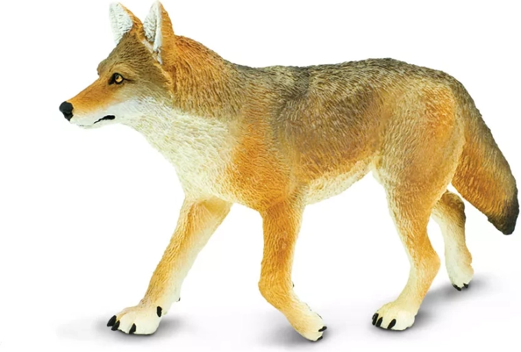 Safari Ltd. figurka kojot - 1 kus