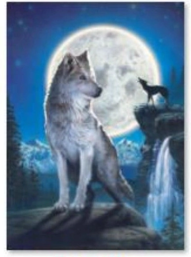 Diamantové vyšívání (diamond painting) vlk 30 × 40 cm