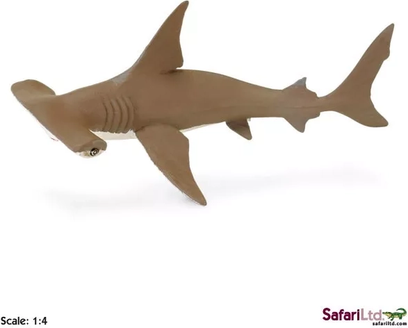 Safari Ltd. mládě kladivouna bronzového