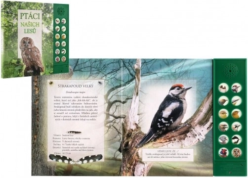 Zvuková kniha Ptáci našich lesů