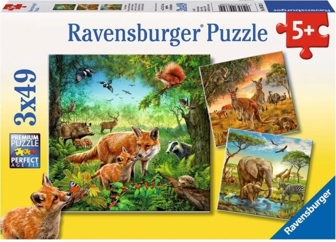 Ravensburger puzzle Zvířata 3×49 dílků