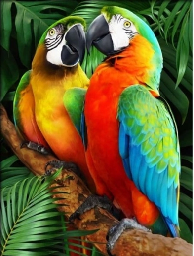 Diamantová mozaika (diamond painting) barevné ary 30 × 40 cm