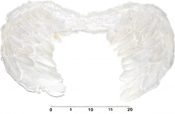 Andělská křídla pro kostým