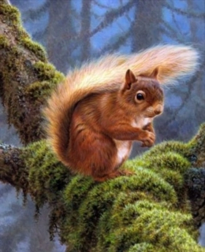 Diamantové malování – veverka na větvi 30 × 40 cm