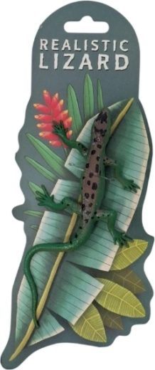 Zvířata chameleon měnící barvu