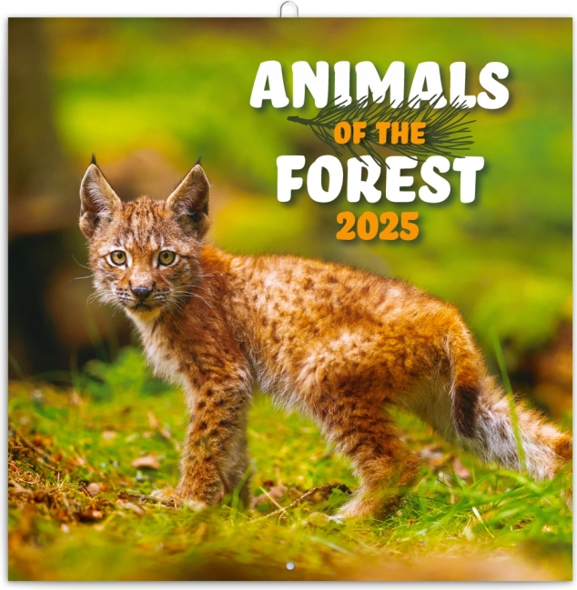 Poznámkový kalendář Zvířátka z lesa 2025, 30 × 30 cm