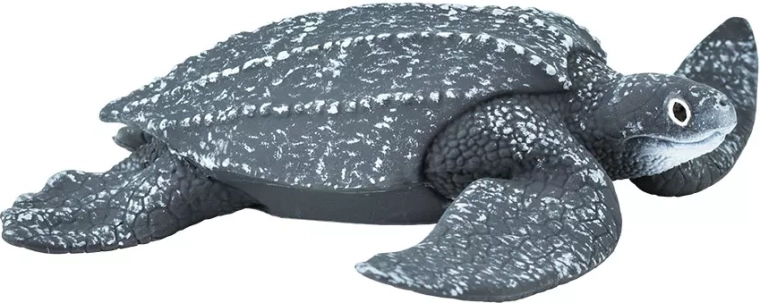 Kožatka velká Safari Ltd. - 1 kus