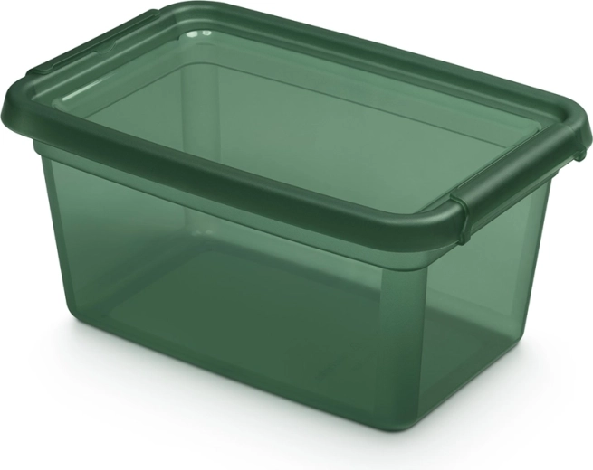 Basestore úložný box s víkem a klipsy pine 4,5 l