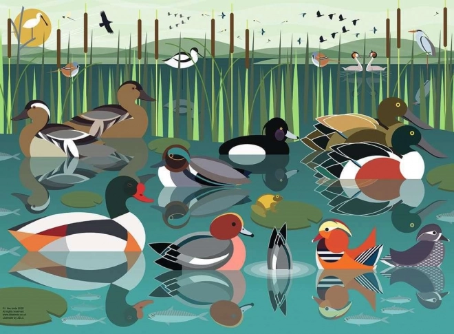 Ravensburger puzzle Mám rád vodní ptáky 500 dílků