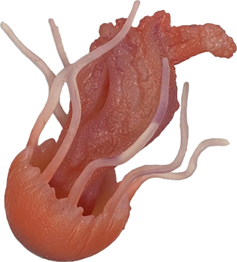 Gumová medúza 10 cm – hračka do vany a bazénu
