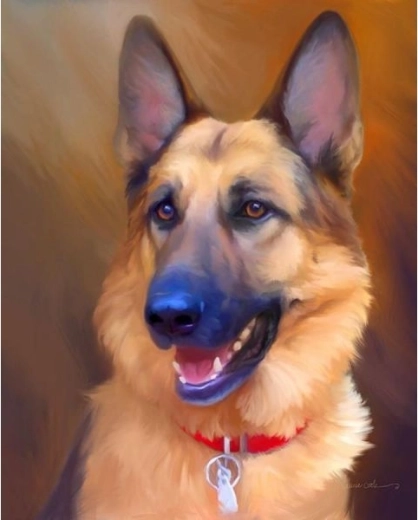 Diamantová mozaika (diamond painting) – německý ovčák 30 × 40 cm