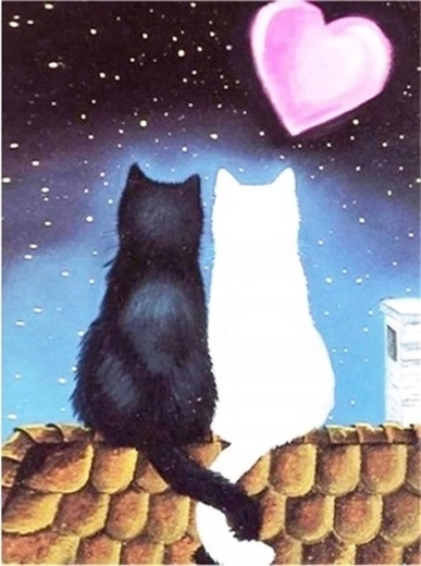 Norimpex diamantové malování kočičí láska 30 × 40 cm