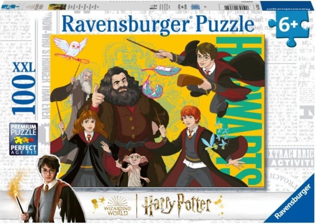 Harry Potter: mladý čaroděj puzzle 100 dílků